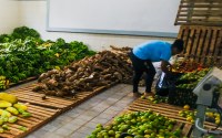 Coleta de produtos do Programa de Aquisição de Alimentos